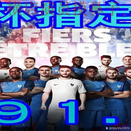 世界杯买球网站整理：数据分析全指南 - 世界杯直播